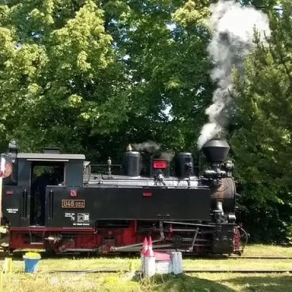 37
